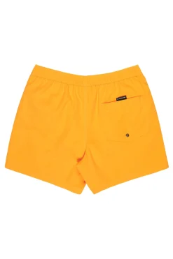 Ba&ntilde;ador corto liso cordones