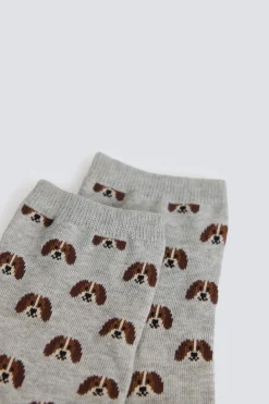 Calcet&iacute;n largo perritos