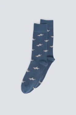 Calcet&iacute;n largo tibur&oacute;n martillo