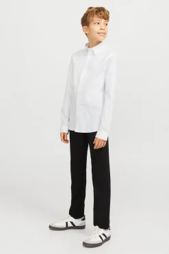 Camisa formal regular fit