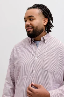 Camisa Oxford estampada manga larga