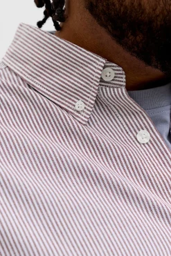 Camisa Oxford estampada manga larga