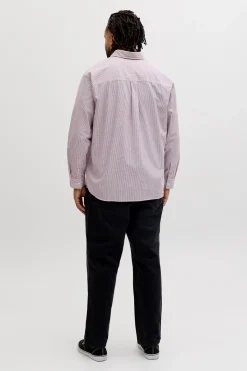 Camisa Oxford estampada manga larga