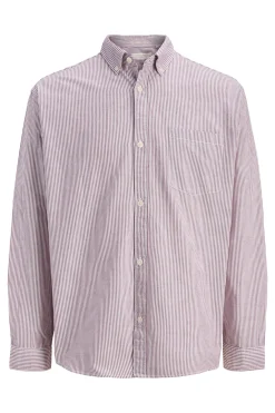 Camisa Oxford estampada manga larga