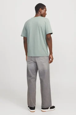 Camiseta est&aacute;ndar fit