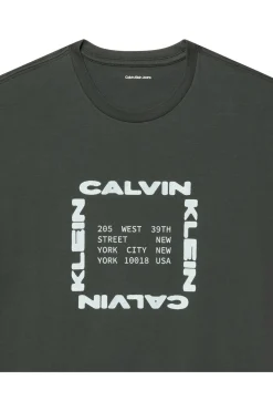 Camiseta gr&aacute;fico frontal