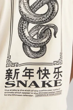 Camiseta loose fit manga corta