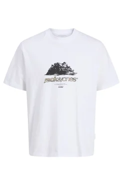 Camiseta regular fit algod&oacute;n