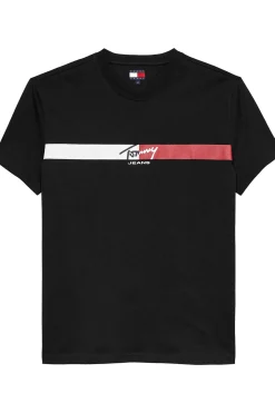 Camiseta regular manga corta