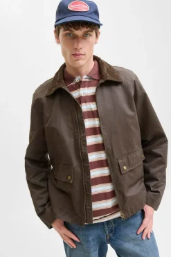 Cazadora cuello pana