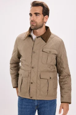 Cazadora regular fit