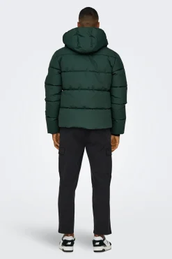 Chaqueta acolchada con capucha