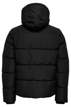 Chaqueta acolchada con capucha