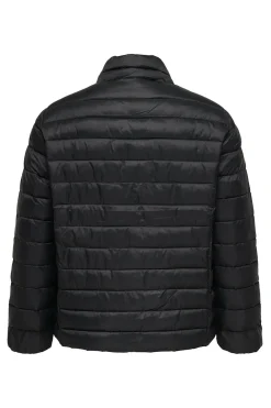 Chaqueta acolchada cremallera talla grande