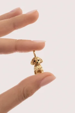 Charm Caniche Toy Ba&ntilde;o Oro