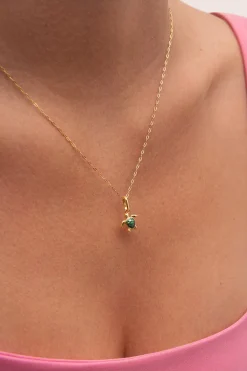 Charm Tortuga Baño Oro