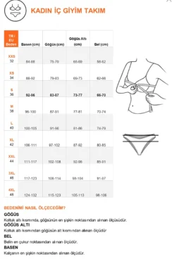 Conjunto de lencer&iacute;a bralette brillo