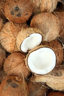 Gel de Ducha Cremoso de Coco 250 ml