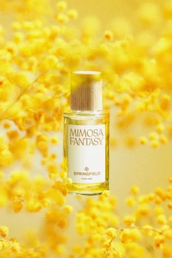 MIMOSA FANTASY 50ML