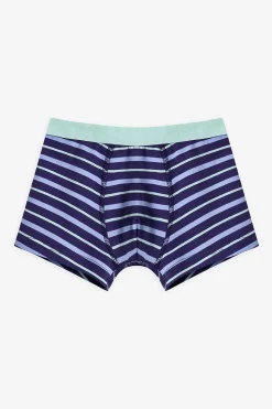 Pack 3 boxers dino rayas