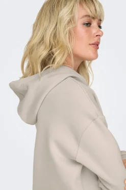 Sudadera b&aacute;sica con capucha