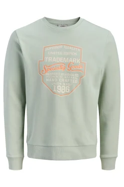 Sudadera b&aacute;sica manga larga