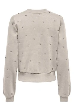 Sudadera bordado lurex