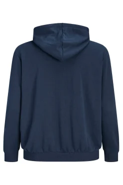 Sudadera capucha algod&oacute;n