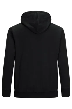 Sudadera capucha b&aacute;sica PLUS