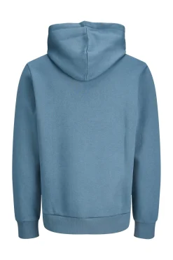 Sudadera con capucha regular fit