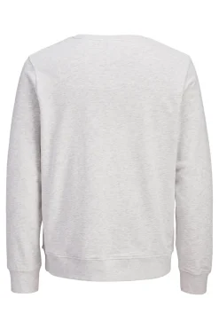 Sudadera logo grande